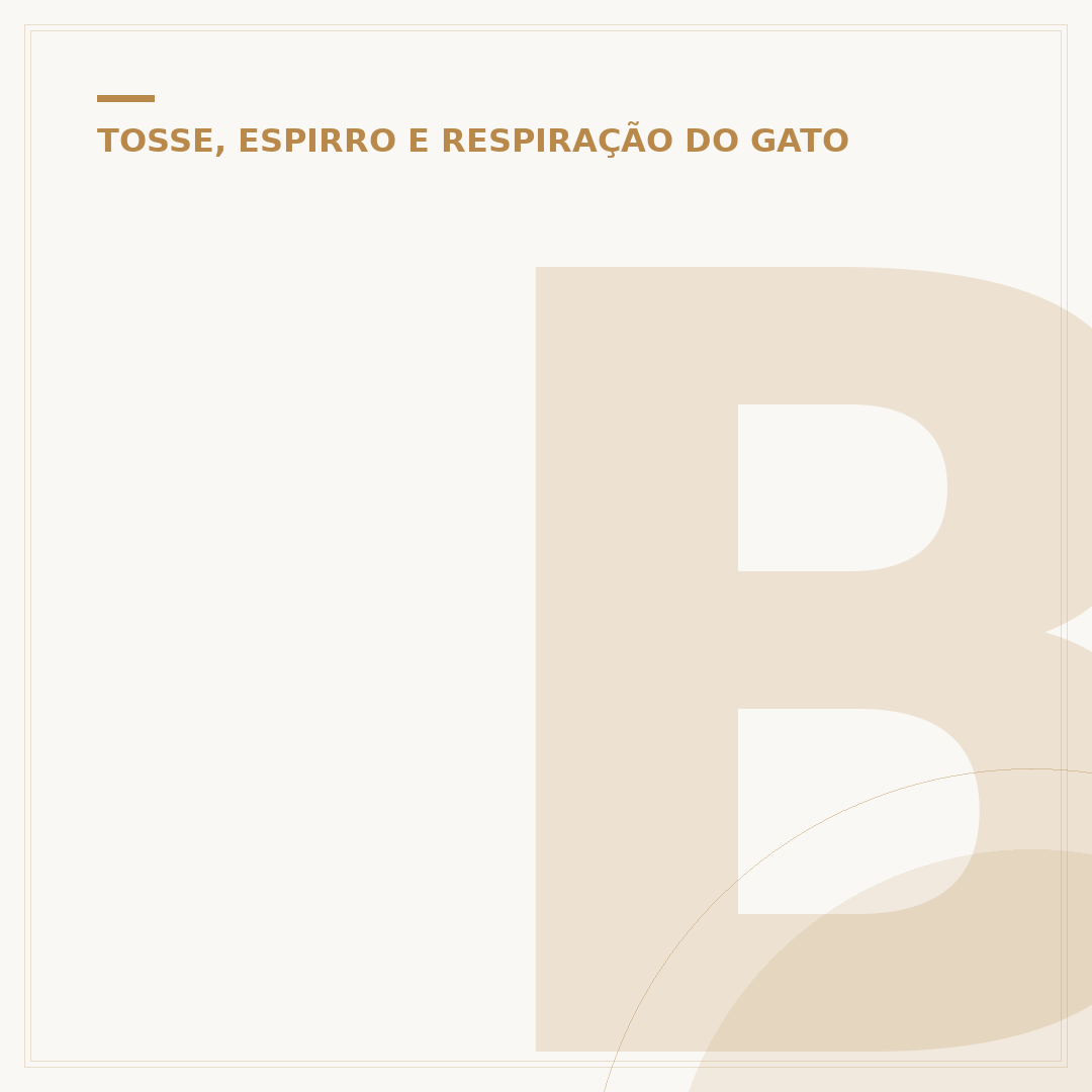 Bronquite em gatos: causas, sintomas e como tratar