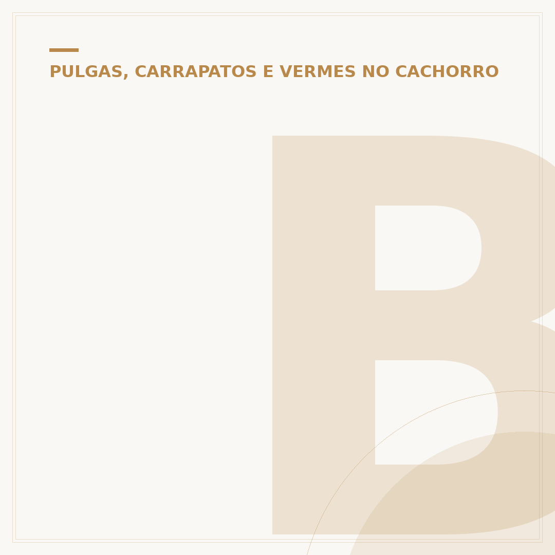 Buraco de berne em cachorro: causas, tratamento e prevenção