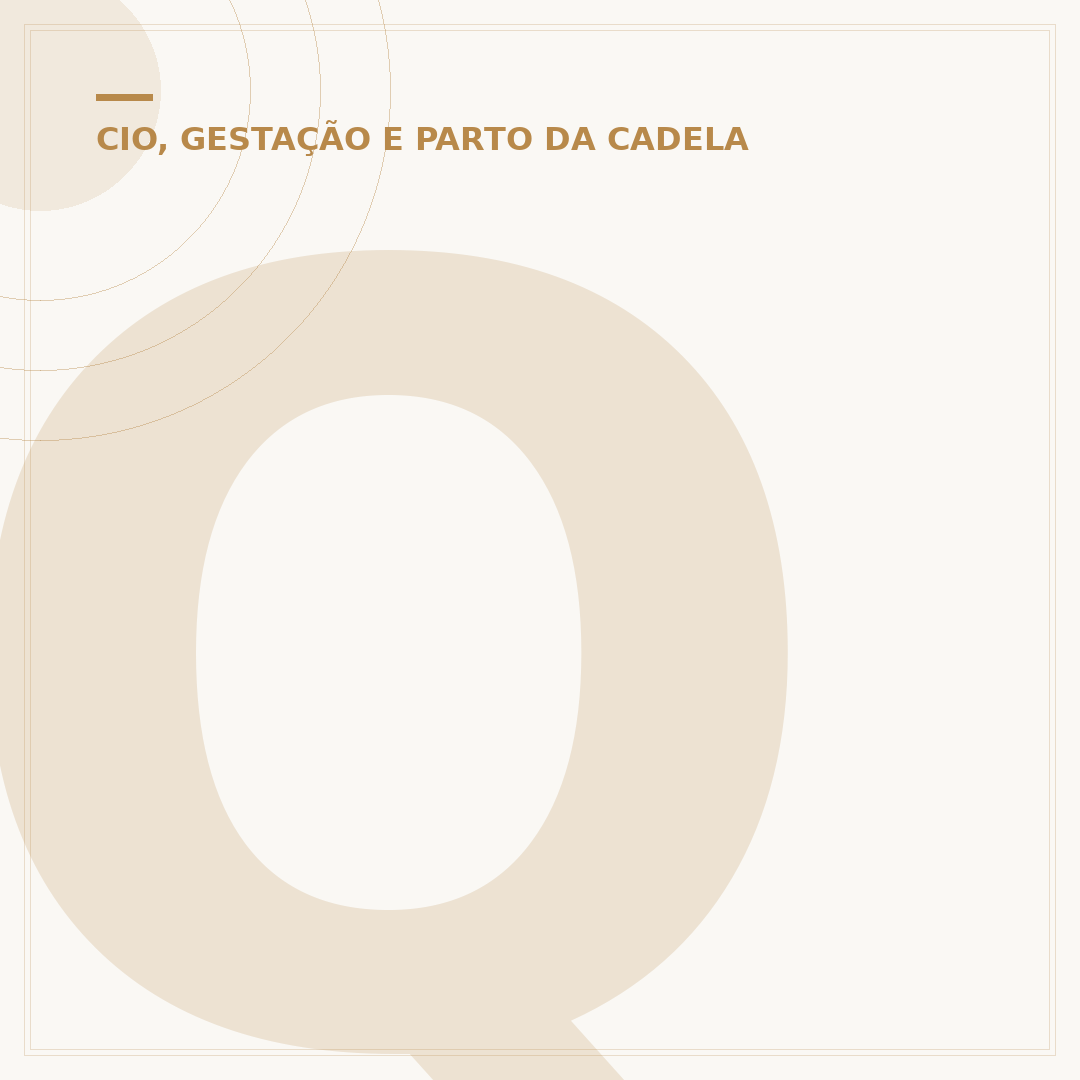 Quantos dias a cachorra passa no cio?