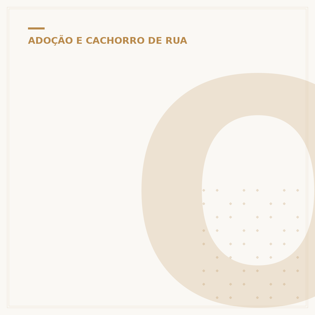 Onde deixar um cachorro abandonado: Ações e Esperança