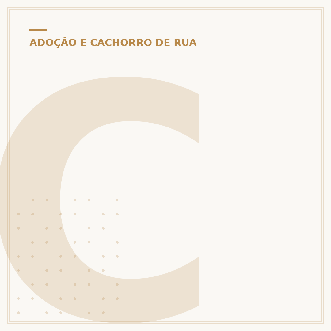 Cachorro para adoção porte pequeno: encontre seu companheiro