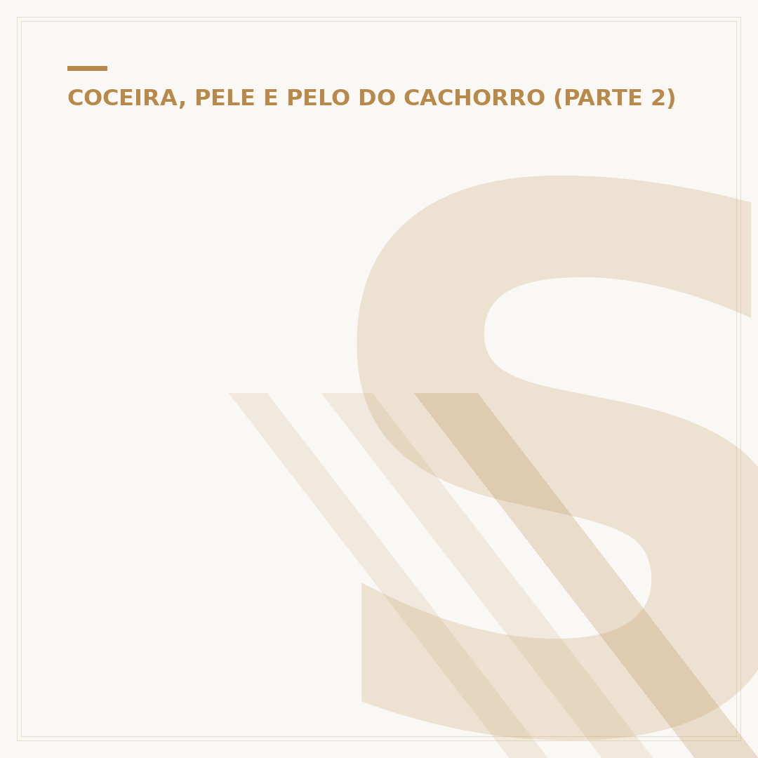 Sintomas de alergia a frango em cachorros