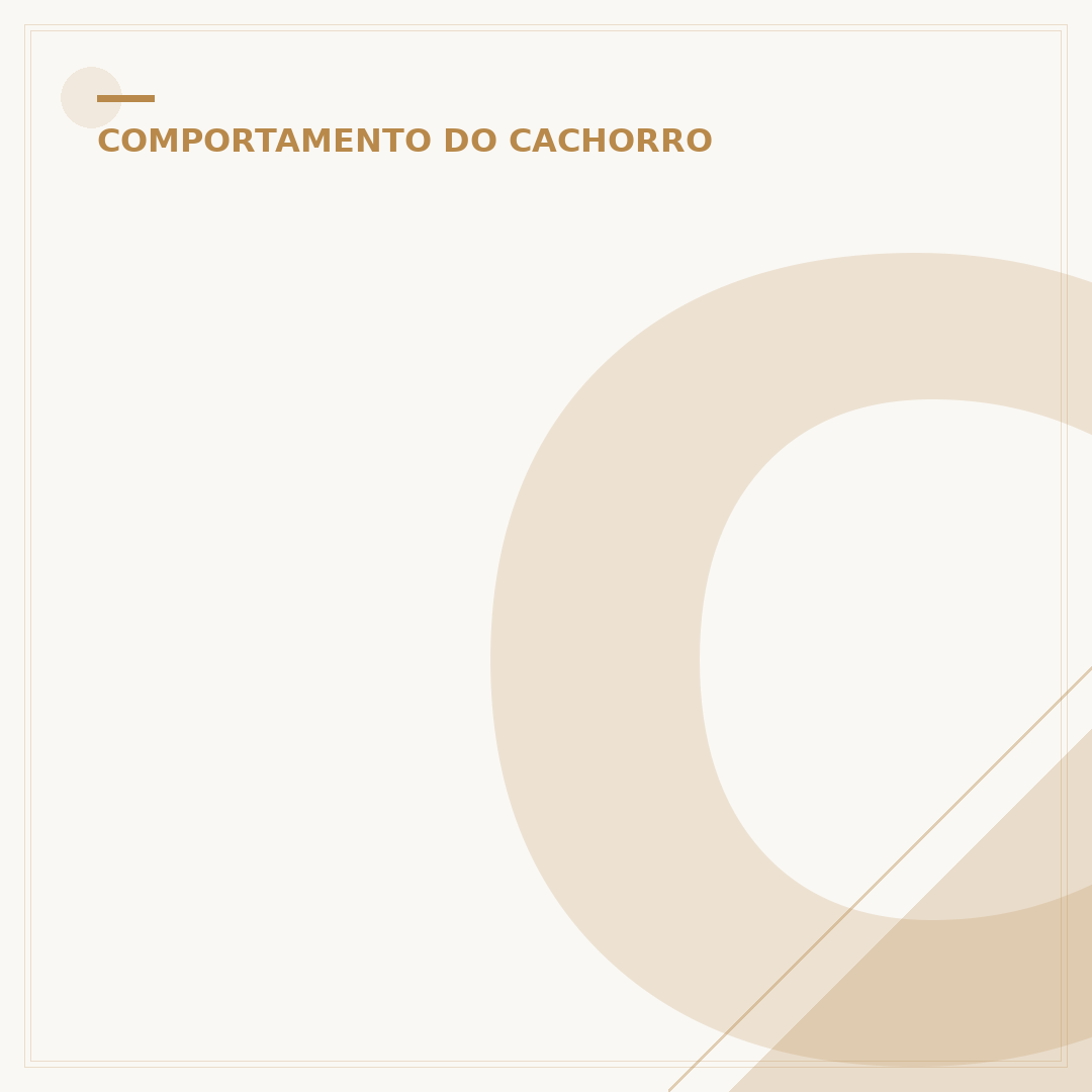 Cachorro com ansiedade de separação: o que é e como ajudar