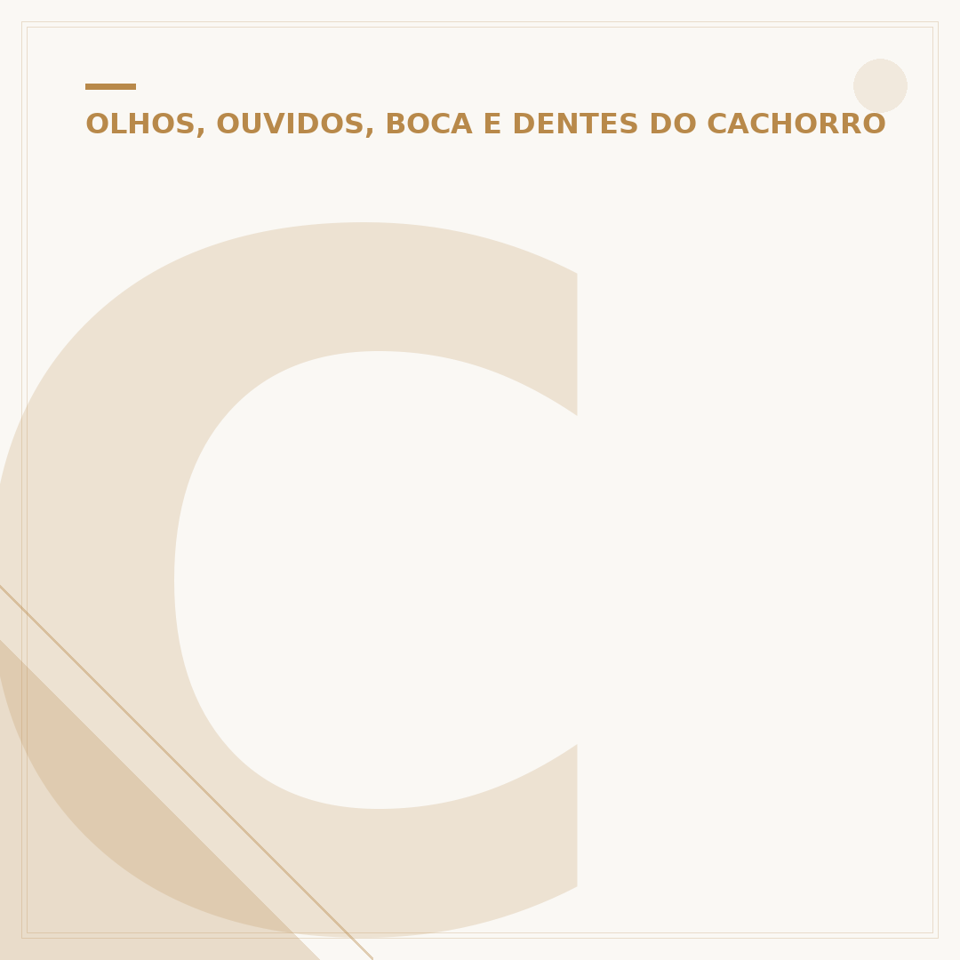 Cachorro branco com olho azul: raças, genética e cuidados