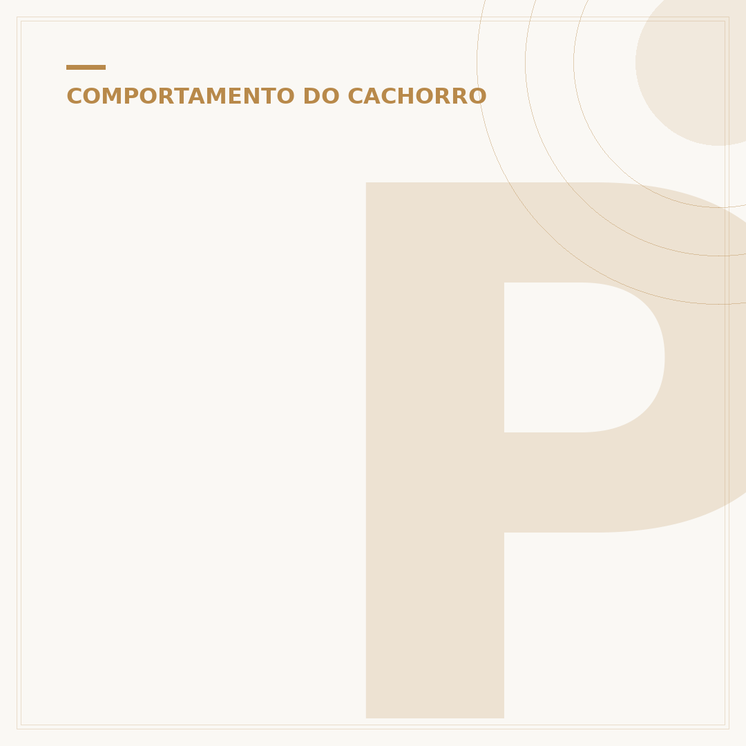 Por que o cachorro fica bravo de repente? Causas e como agir