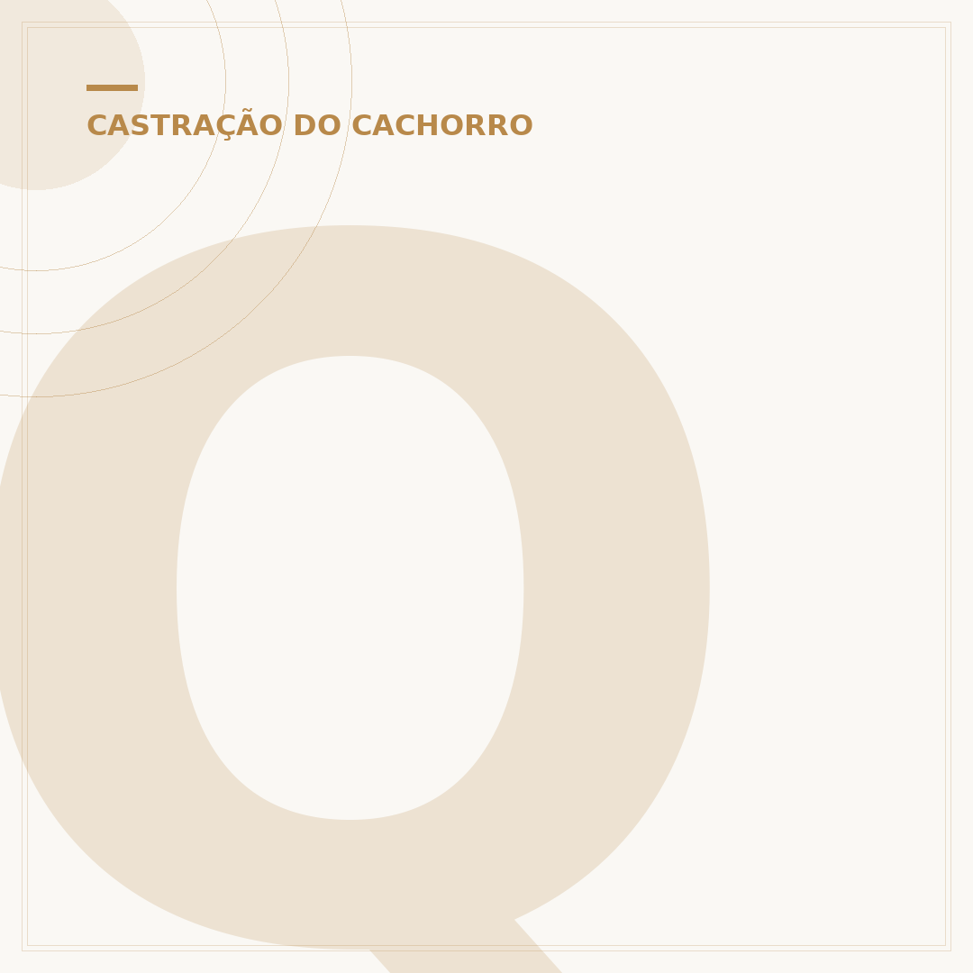 Quanto tempo depois de castrado o cachorro fica mais calmo