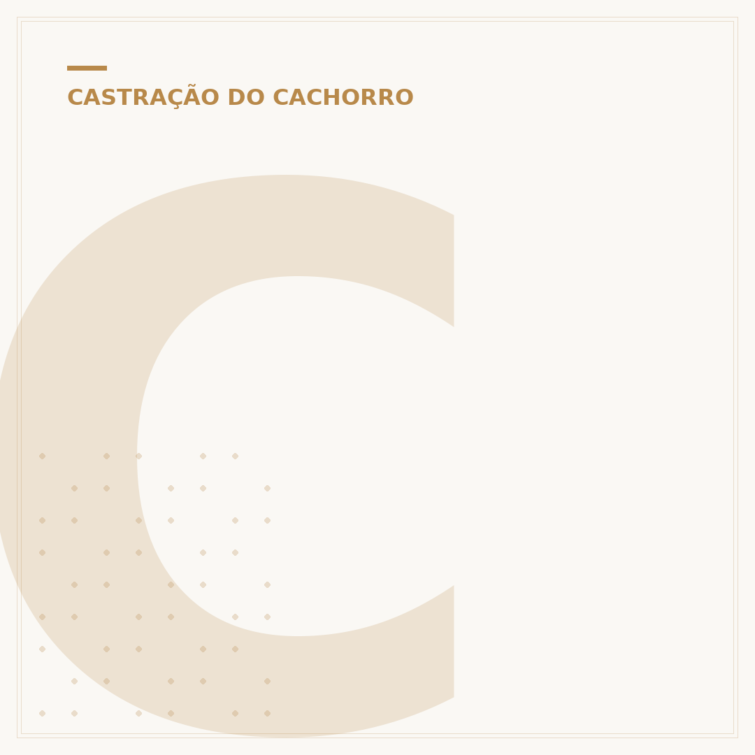Cachorro castrado pode cruzar? Entenda o impacto da cirurgia