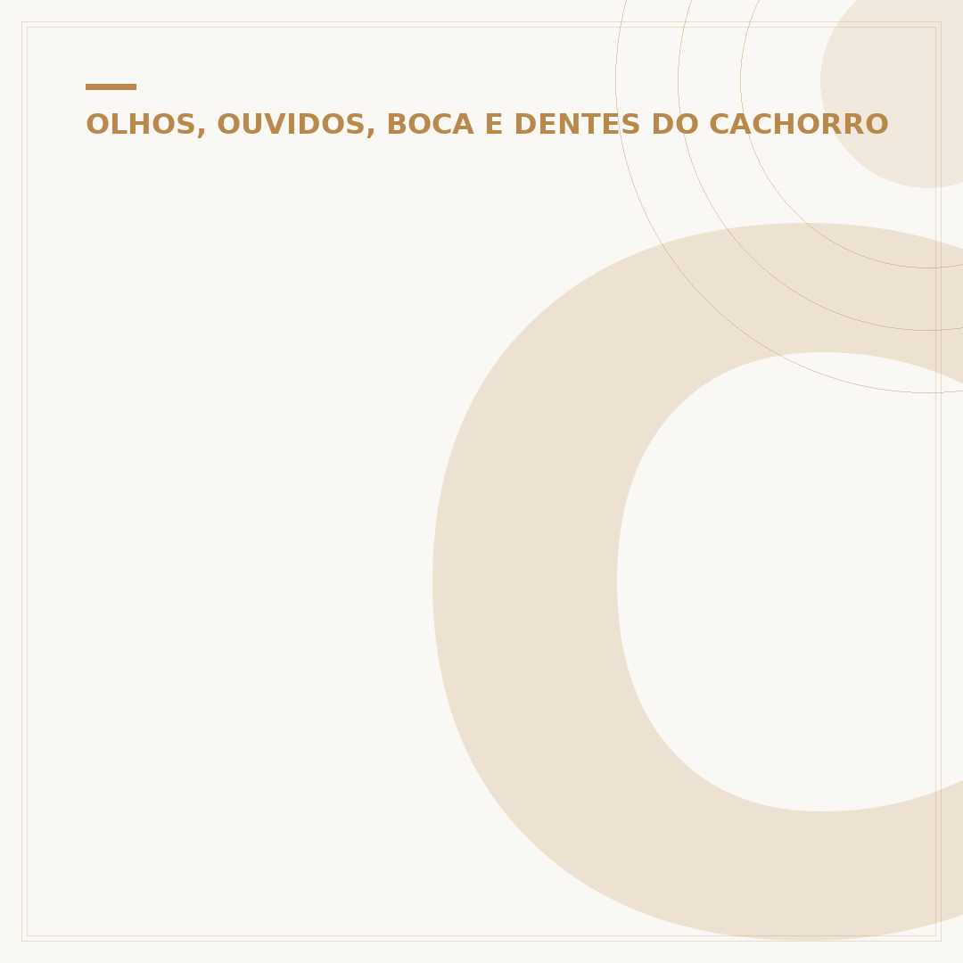 Cachorro fica cego do nada: causas e o que fazer