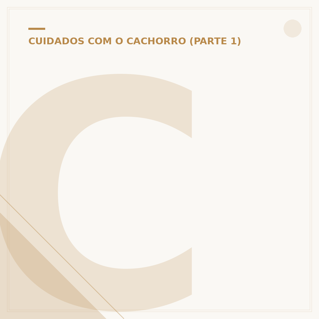 Cachorro Cheetos Filhote: o que saber antes de comprar