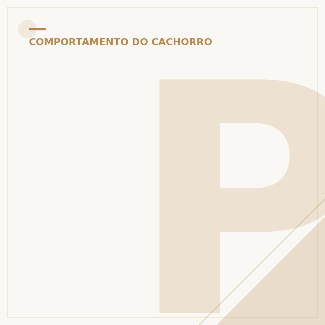 Por que o cachorro cheira as partes íntimas das pessoas?