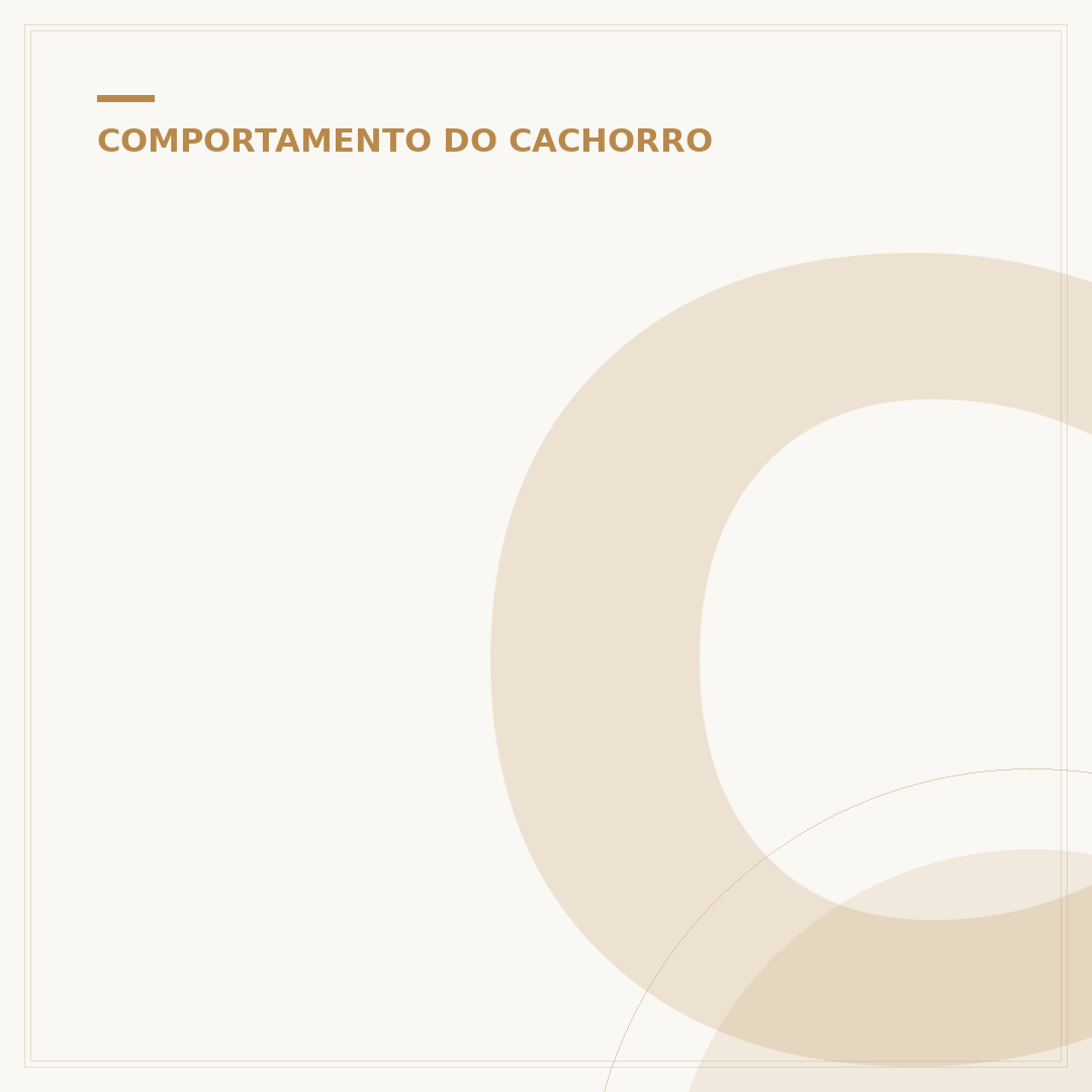 Cachorro chora com lágrimas: entenda as causas e cuidados
