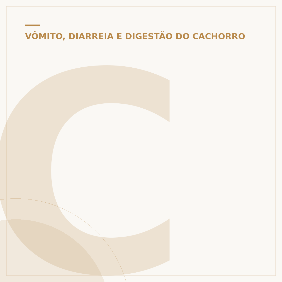 Cachorro com gases: causas, sintomas e alívio