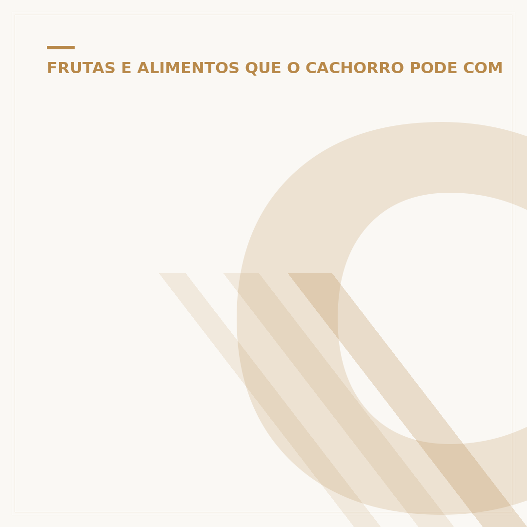 Cachorro pode comer espinafre? Segurança e benefícios