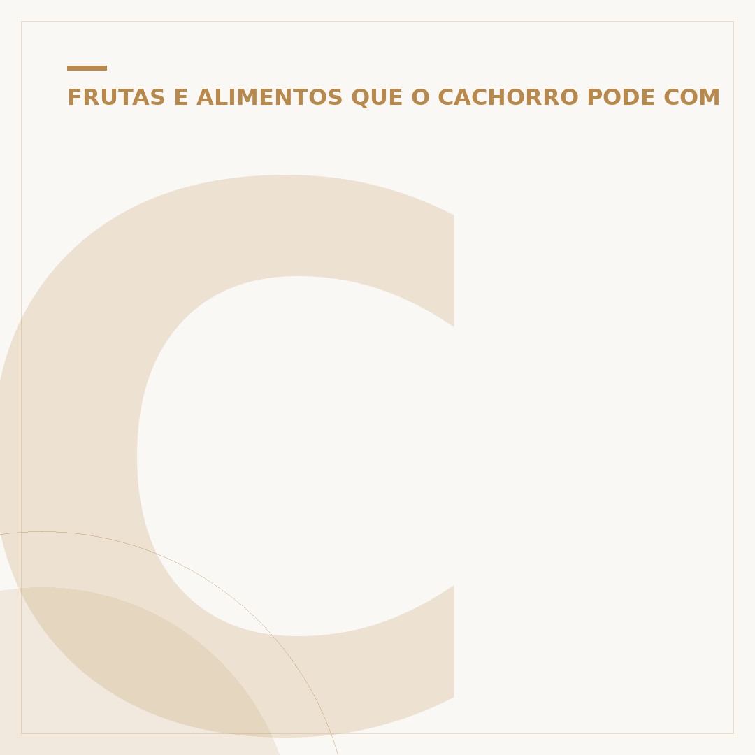Cachorro pode comer pipoca de milho? Riscos e benefícios