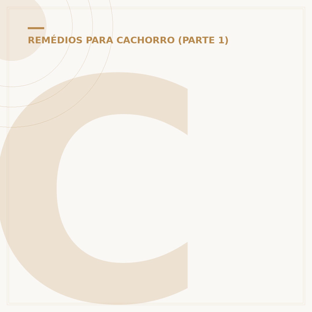 Cachorro com diarreia: o que fazer e quando se preocupar