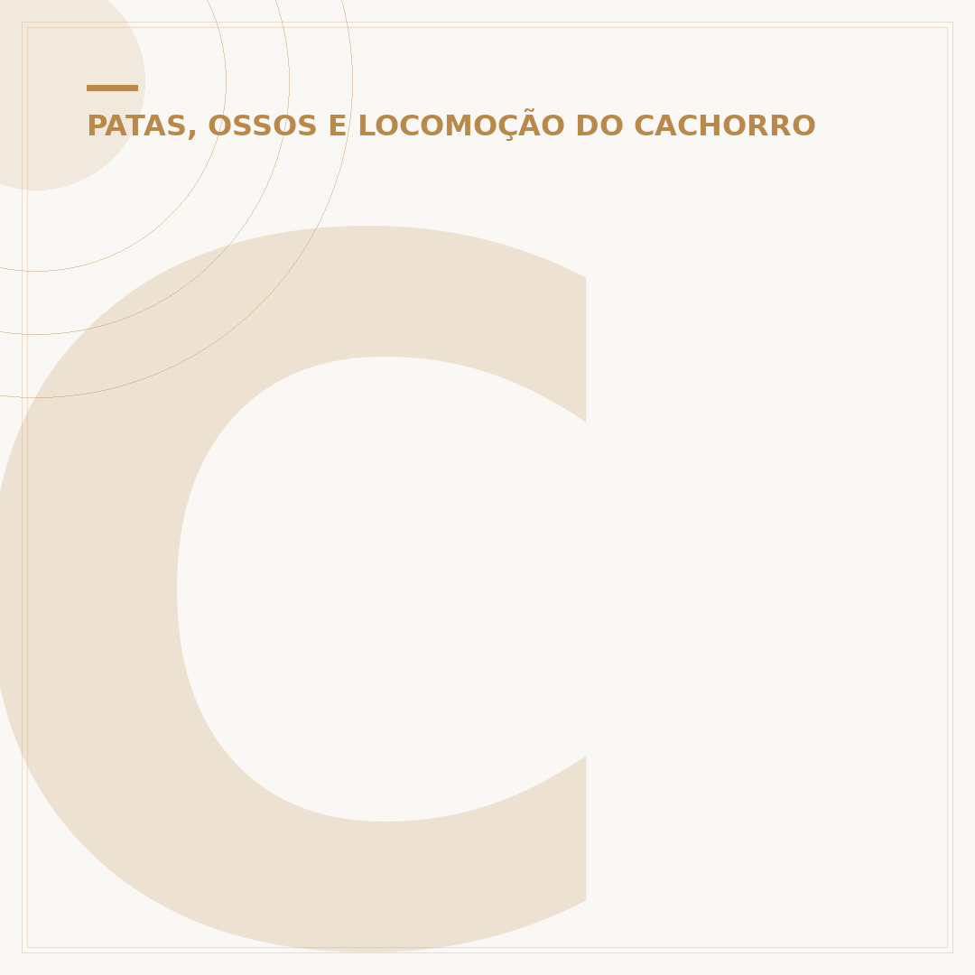 Cachorro com dificuldade de andar nas patas traseiras