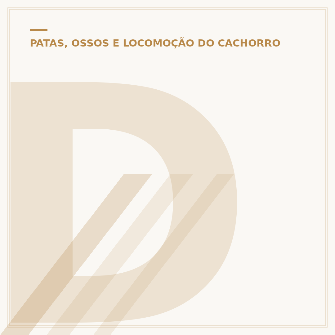 Dor na perna traseira do cachorro: causas e o que fazer