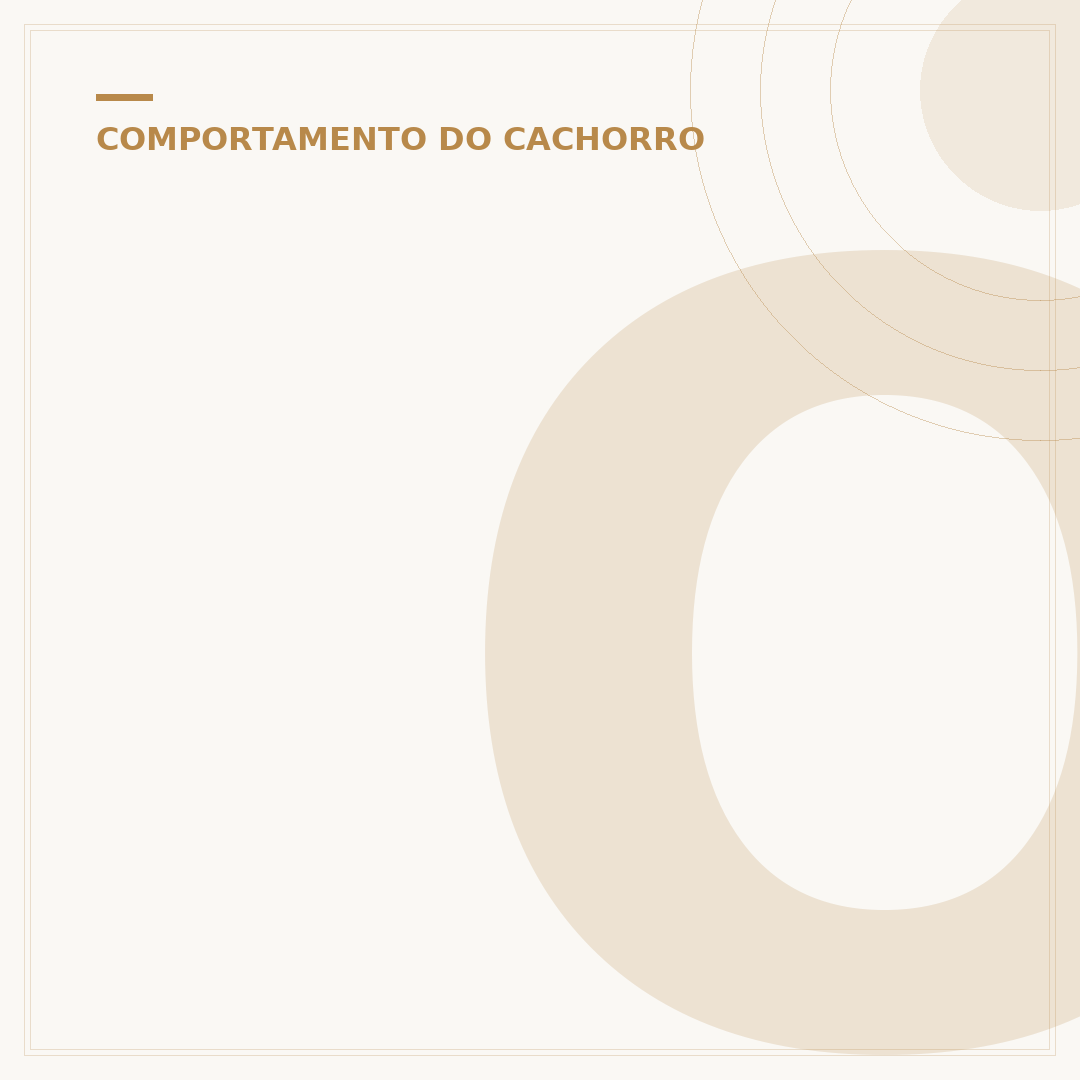 O cachorro mais bravo do mundo inteiro