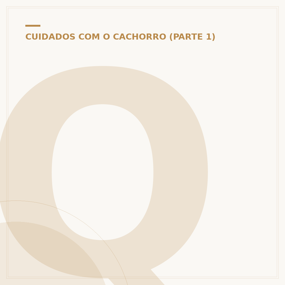 Qual foi o cachorro mais velho do mundo?