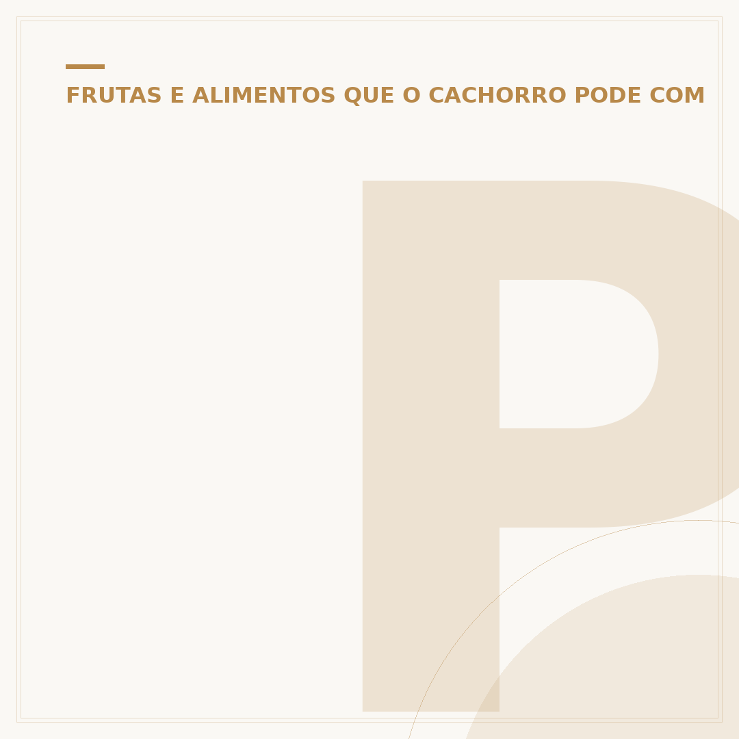 Por que cachorro não pode comer chocolate: o perigo oculto