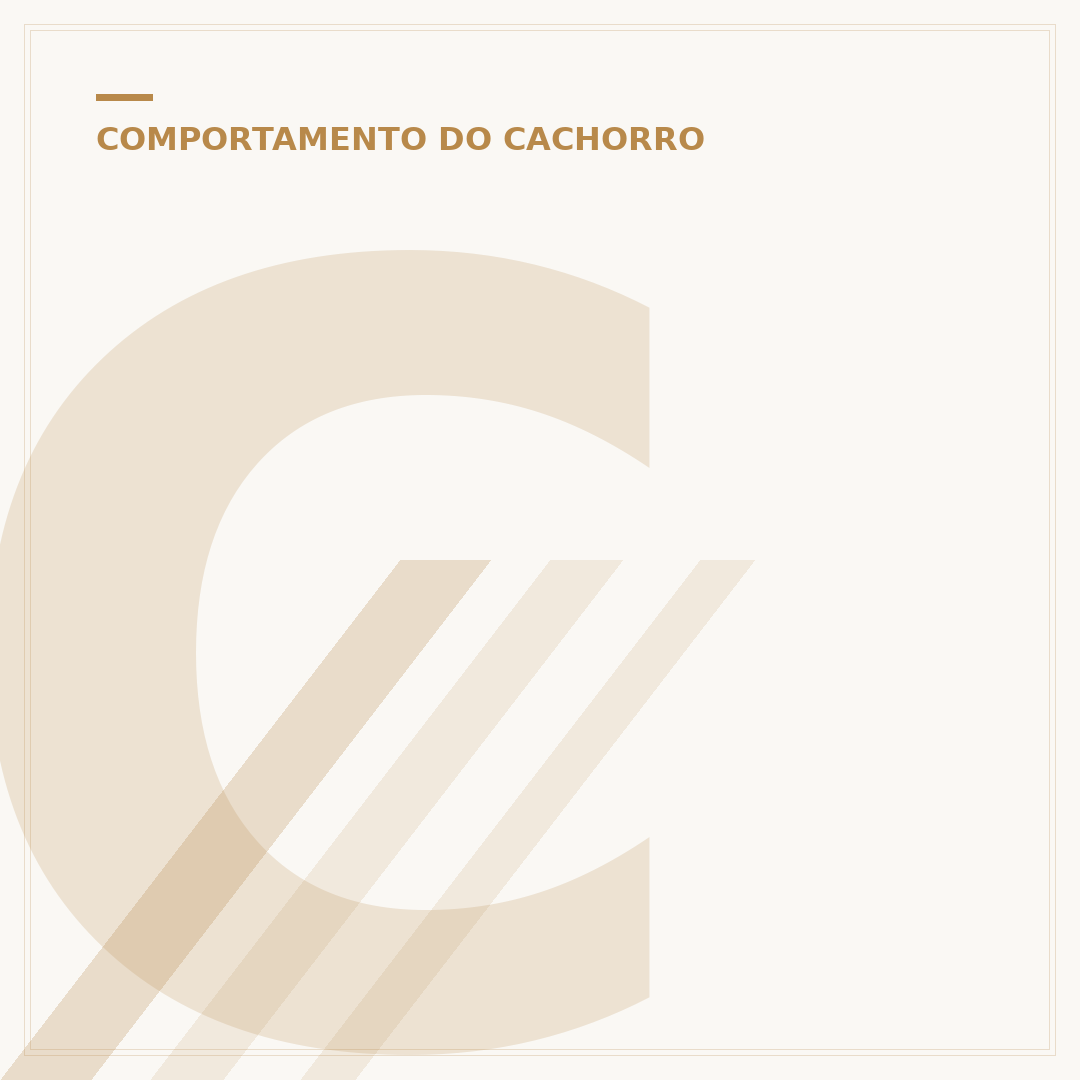 Cachorro não consegue defecar: causas e o que fazer