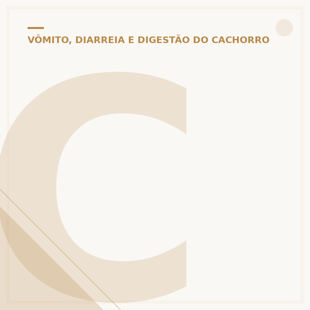 Cachorro não faz cocô há 2 dias: o que pode ser?