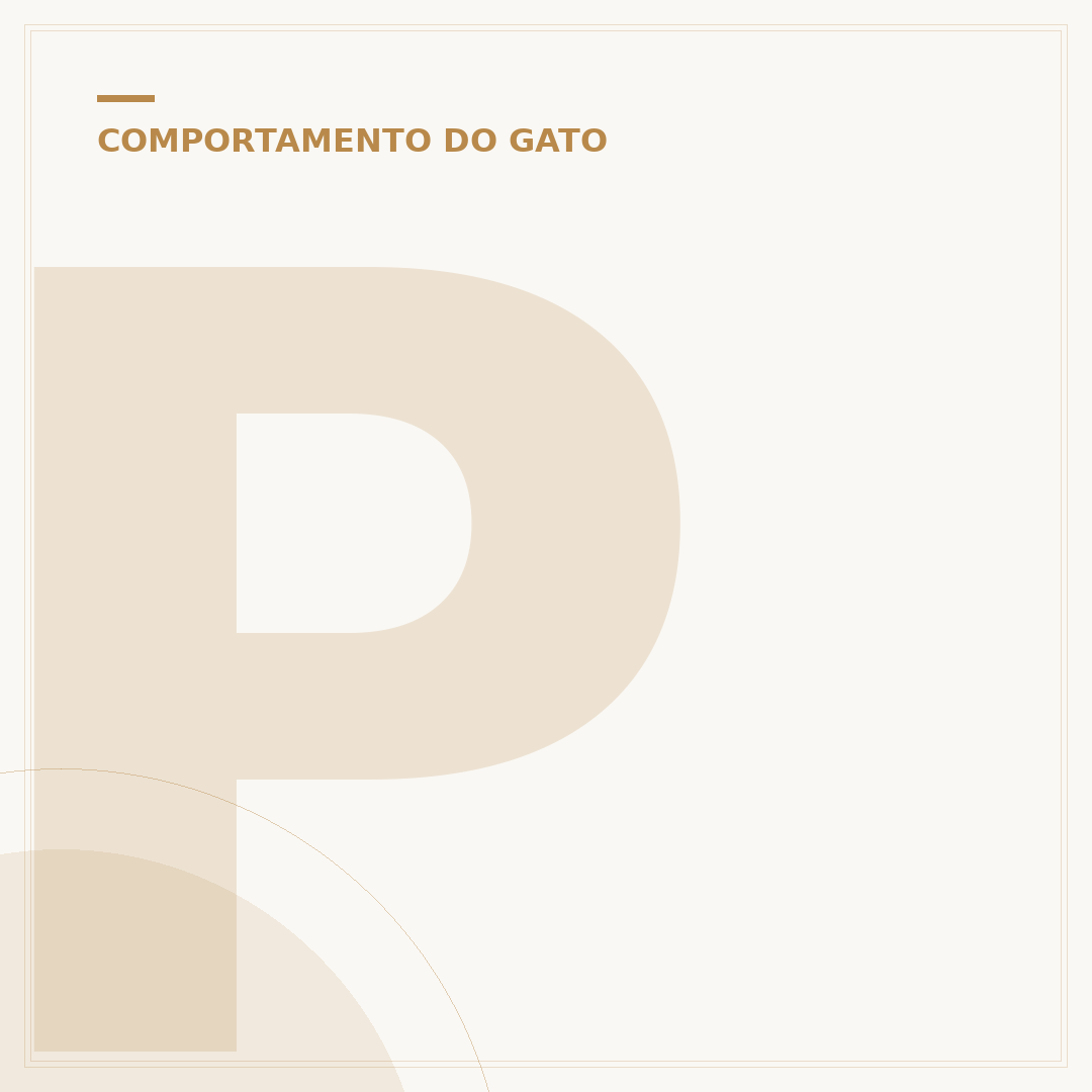Pq cachorro n gosta de gato?