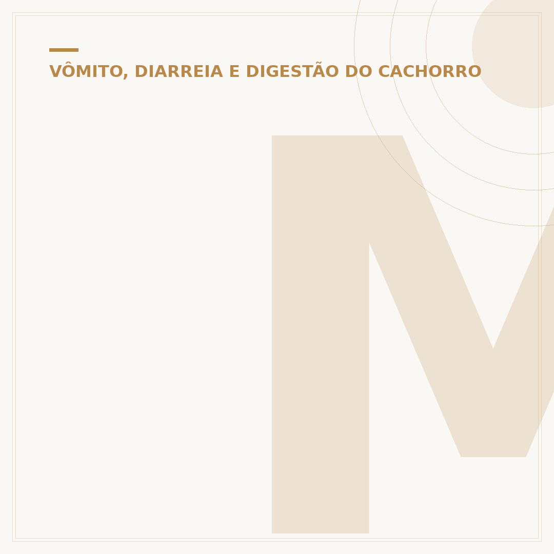 Meu cachorro não quer comer ração, só comida
