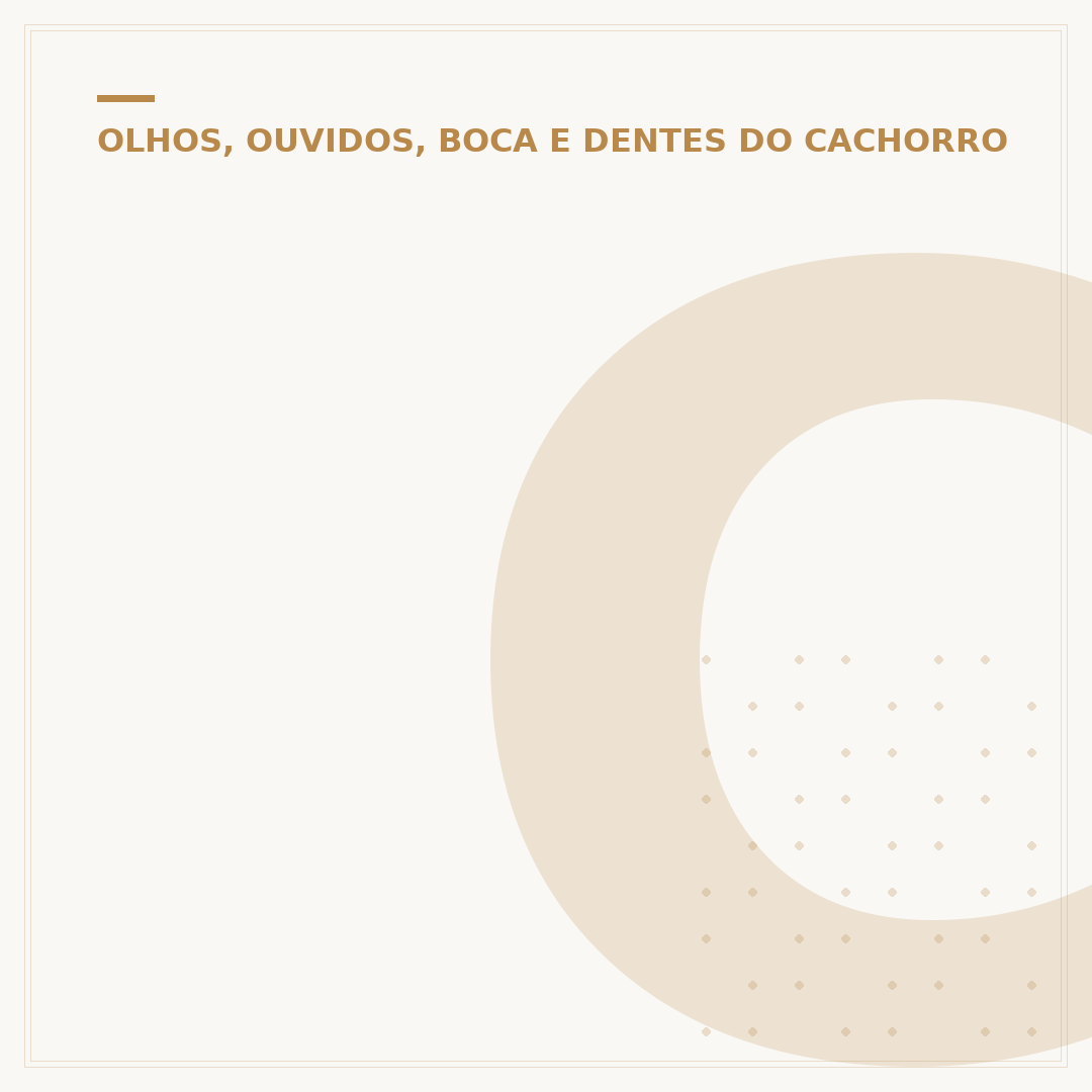 Cachorro com olhos amarelos: causas e o que observar
