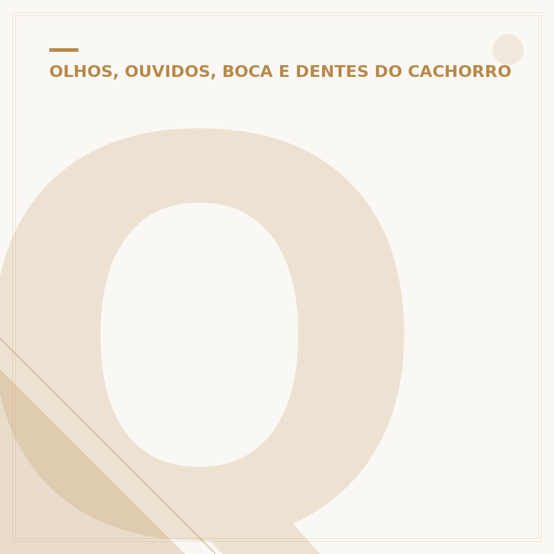 Quem é o cachorro orelha: raças e curiosidades