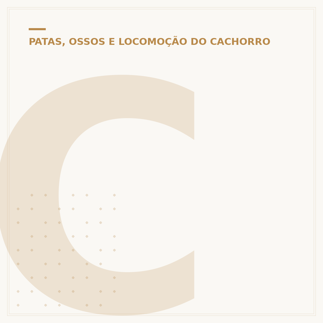Cachorro machucou a pata e está mancando: causas e cuidados