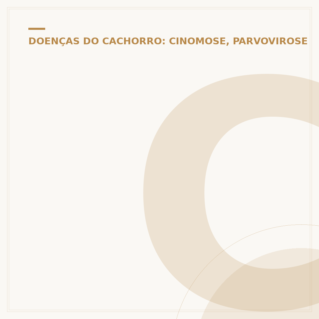 Como o cachorro pega parvovirose: transmissão e prevenção