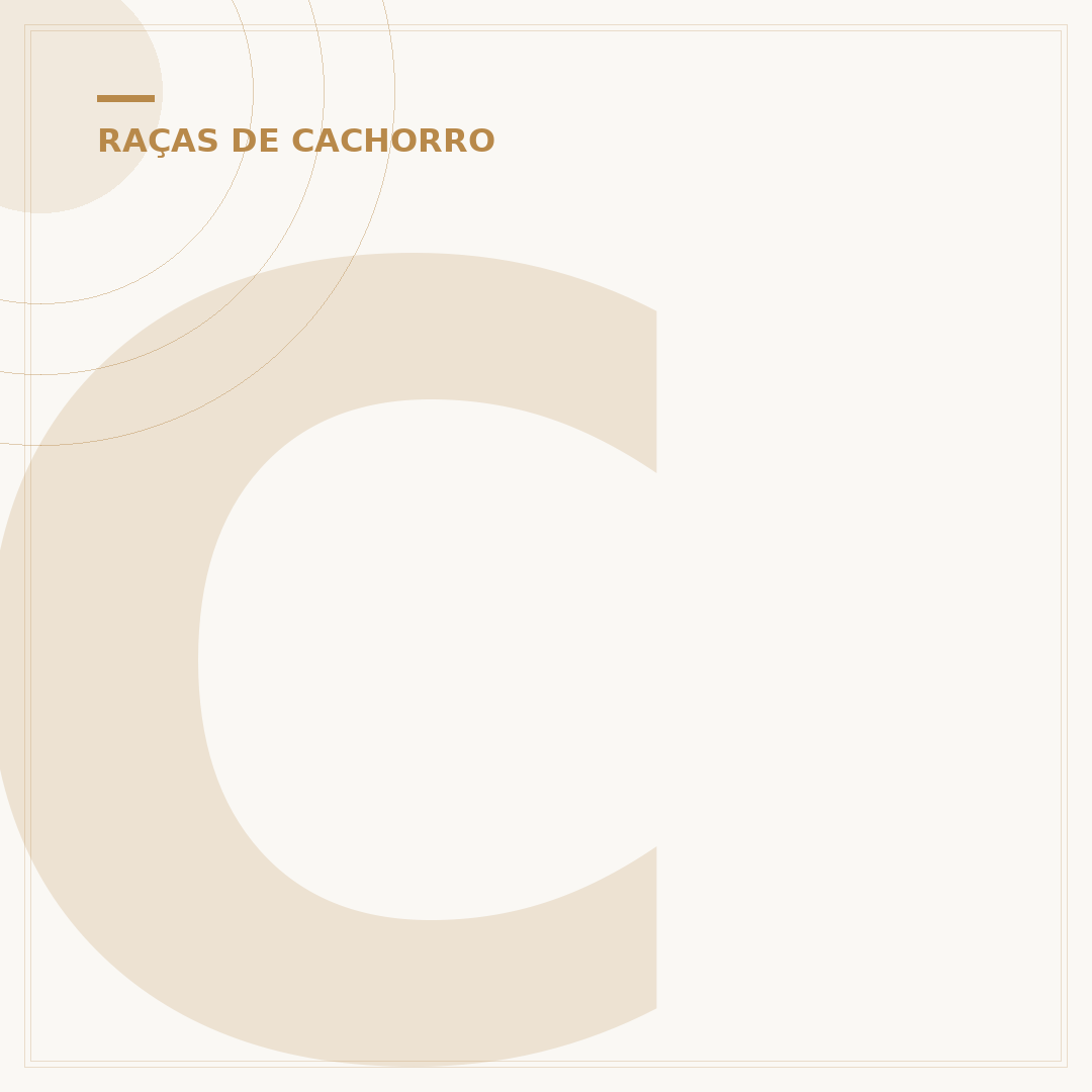 Cachorro preto grande: raças populares e características