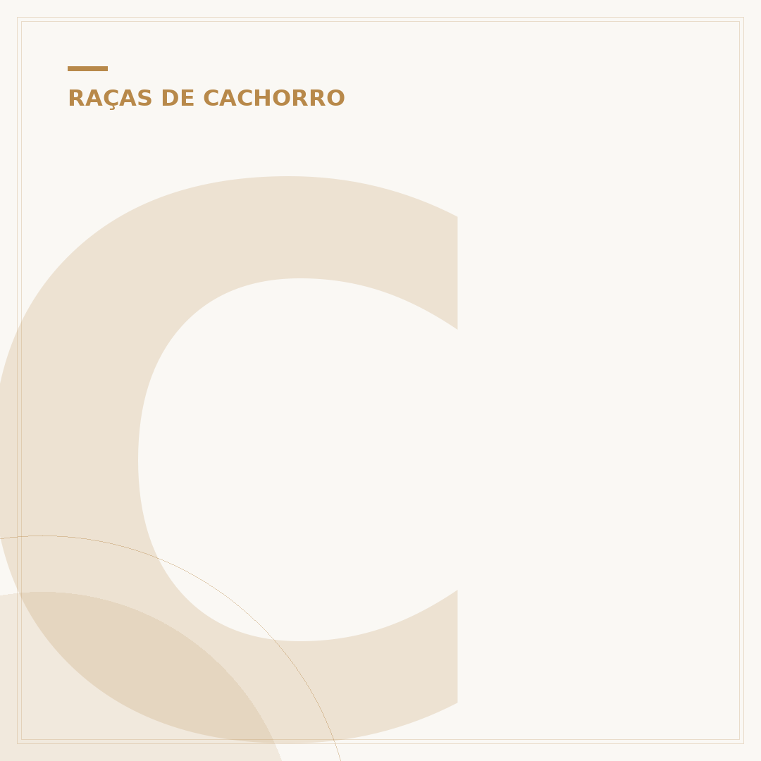 Cachorro de rico raças: conheça os pets da elite