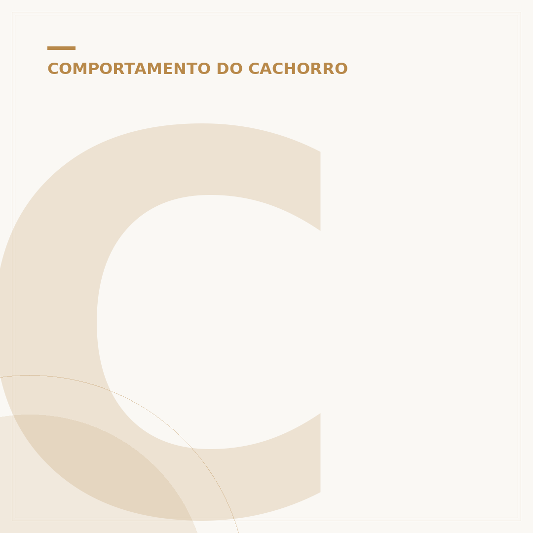 Cachorro do vizinho não para de latir: o que fazer?