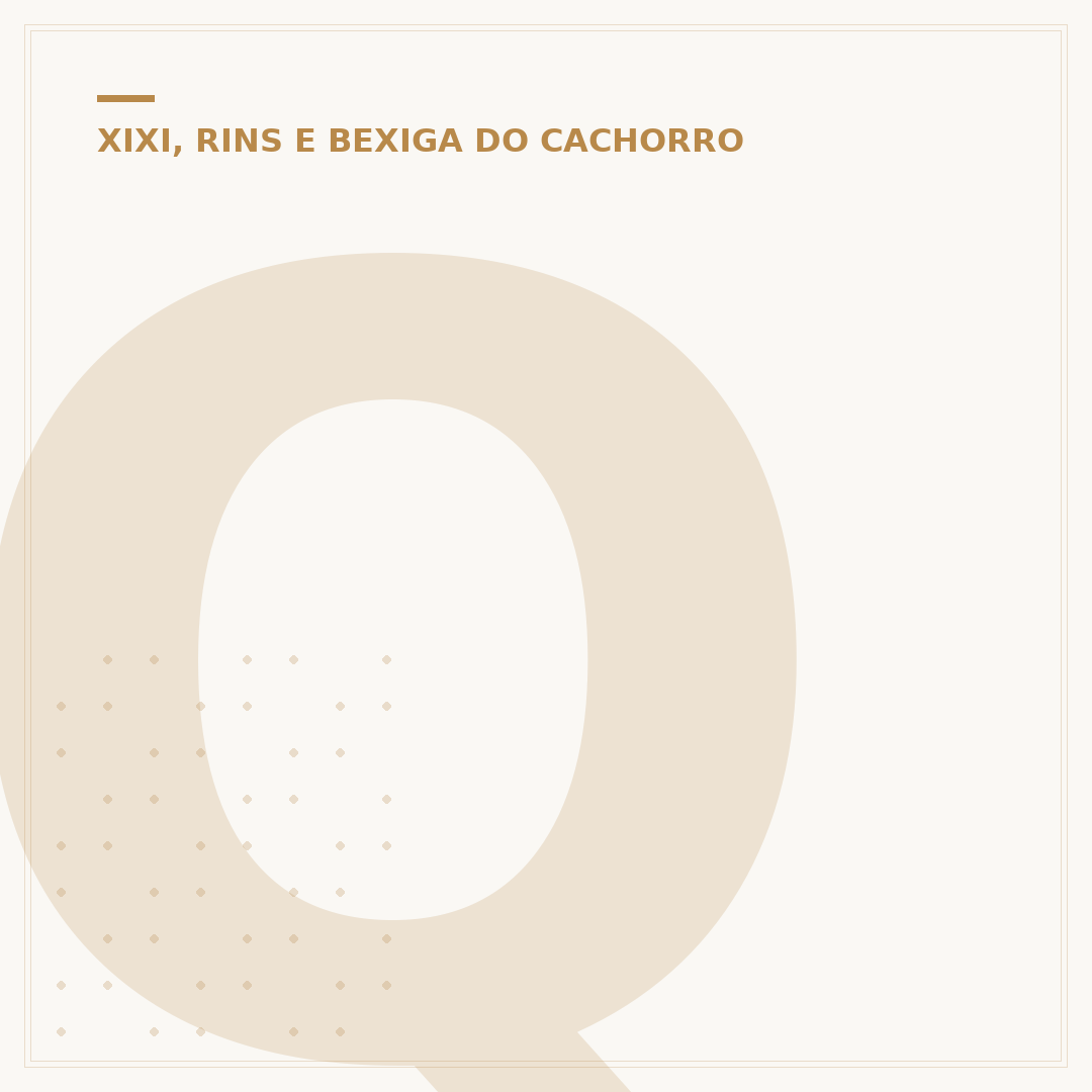 Quantas vezes o cachorro faz xixi por dia?