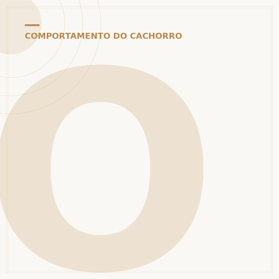 Os cachorros entendem o que a gente fala?