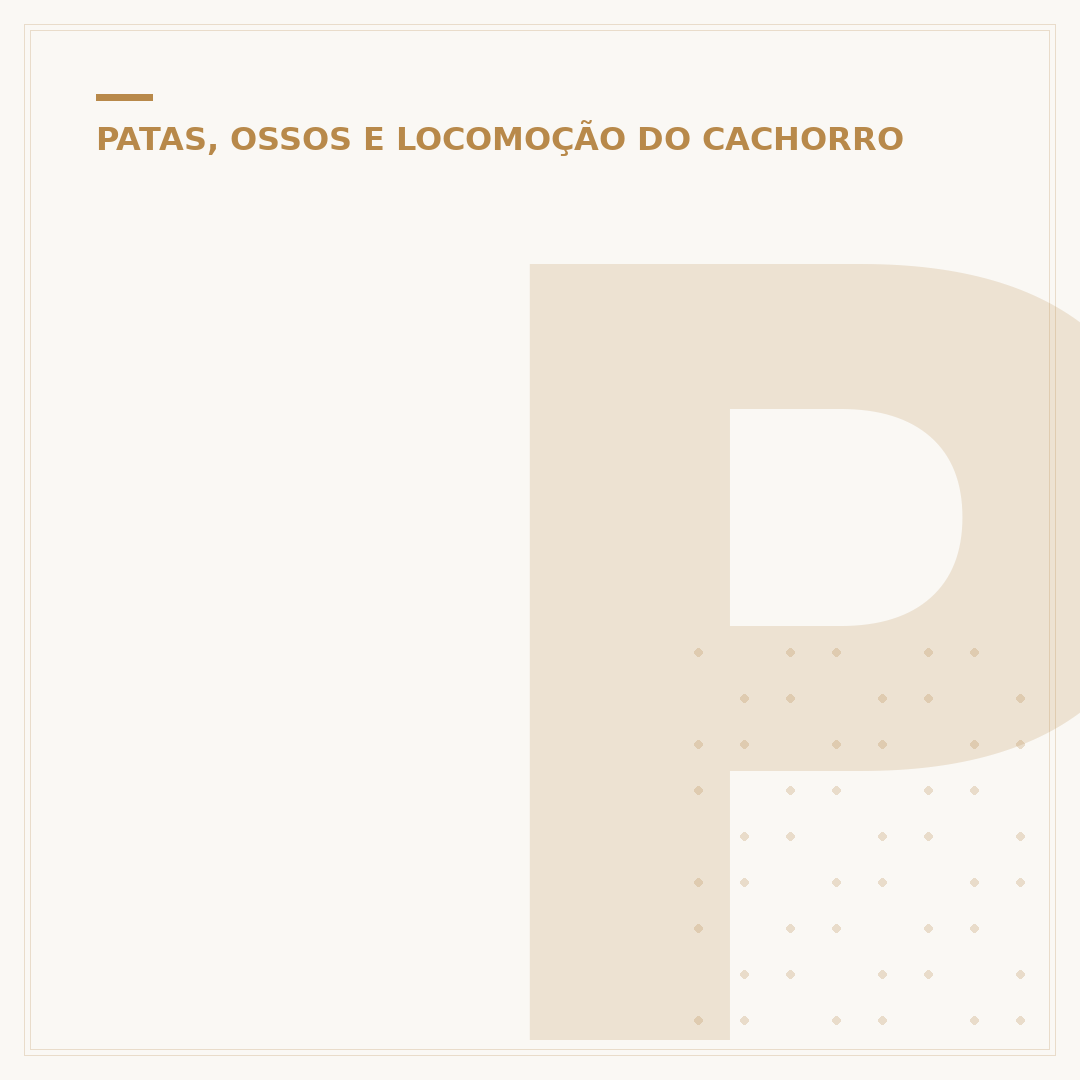 Por que os cachorros lambem as patas? Causas e Soluções