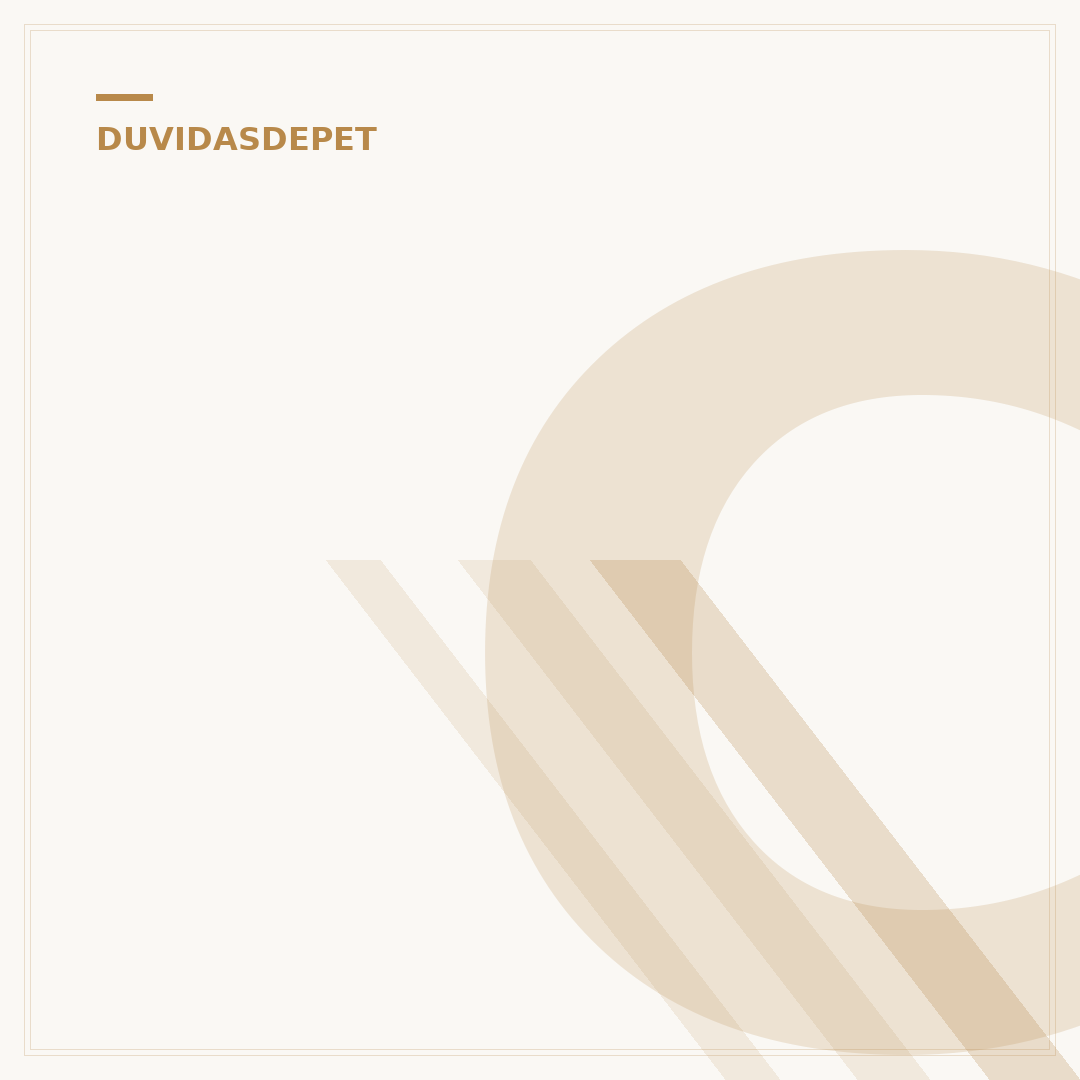 Cachorros pequenos para apartamento: o que saber