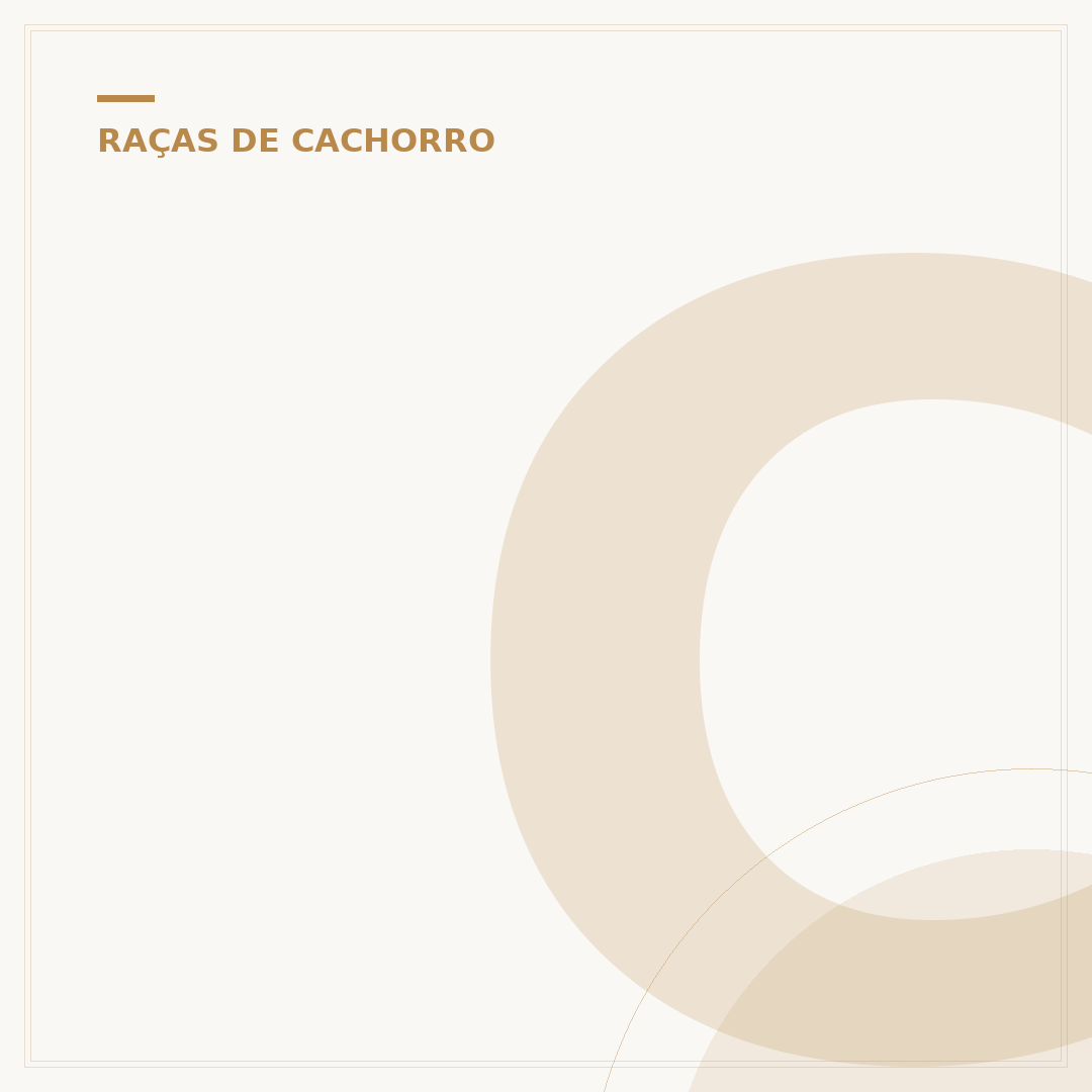 Cachorros de todas as raças do mundo: um panorama