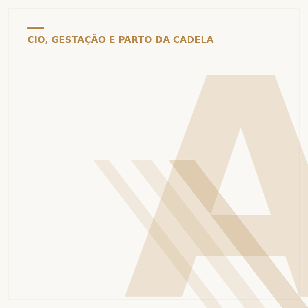 A cadela no cio comeu