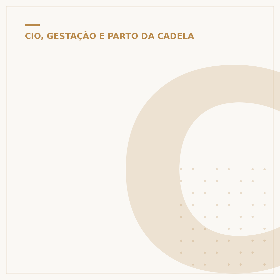 Como saber se a cadela vai parir: sinais e preparativos