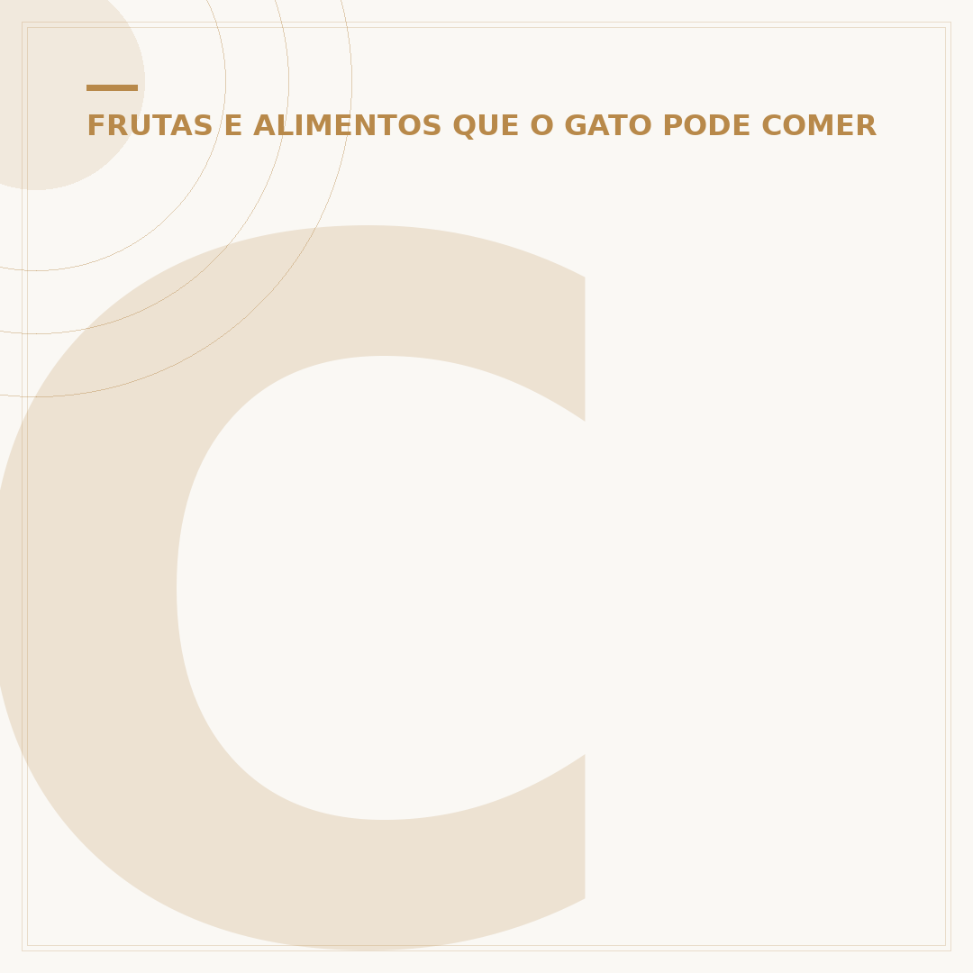 Café com gatos em São Paulo: o que saber