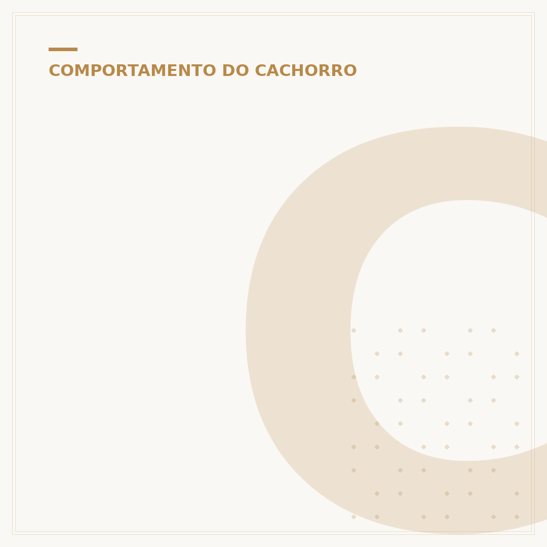 Calmante para cachorro bravo: quando e como usar