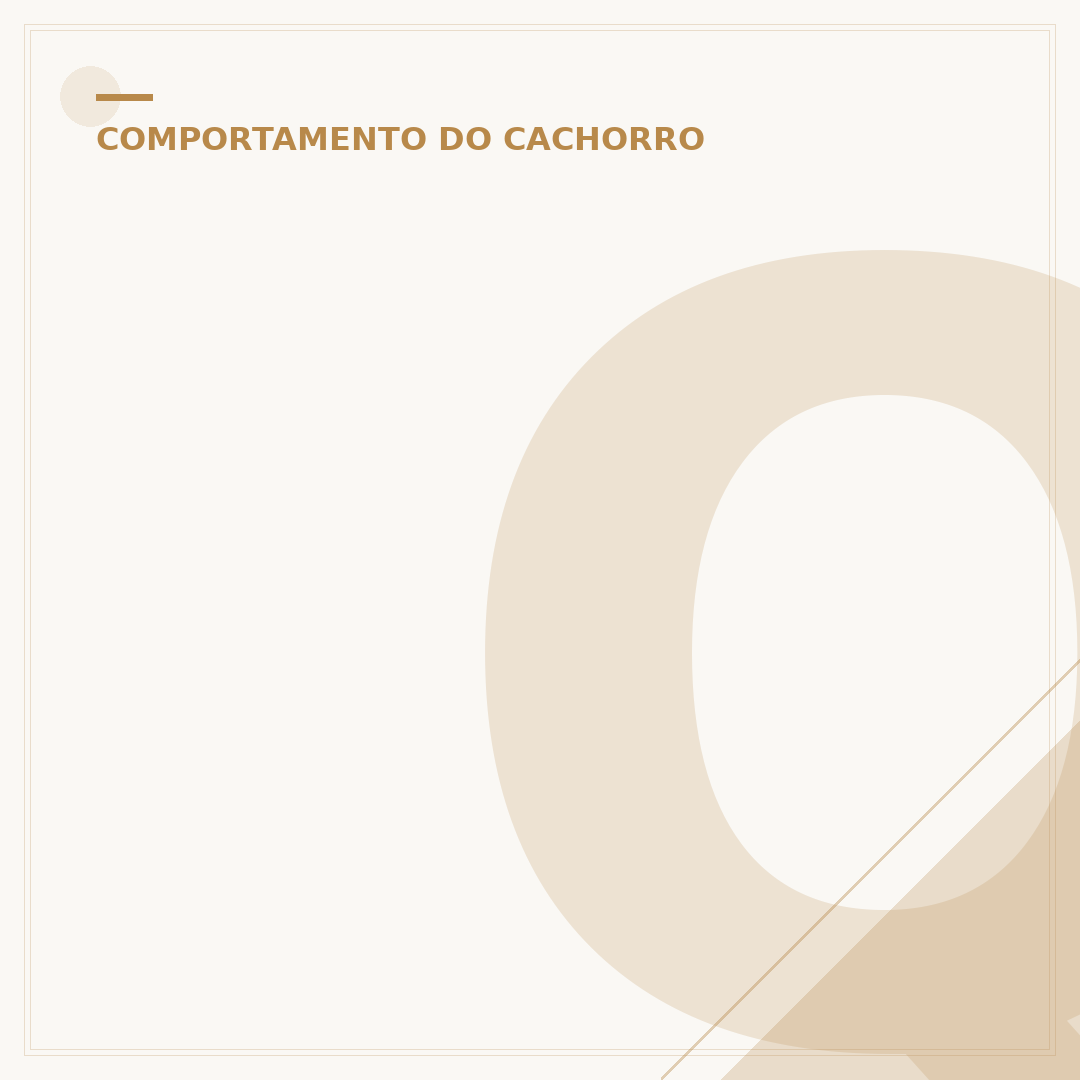 Qual o melhor calmante para cachorro dormir?