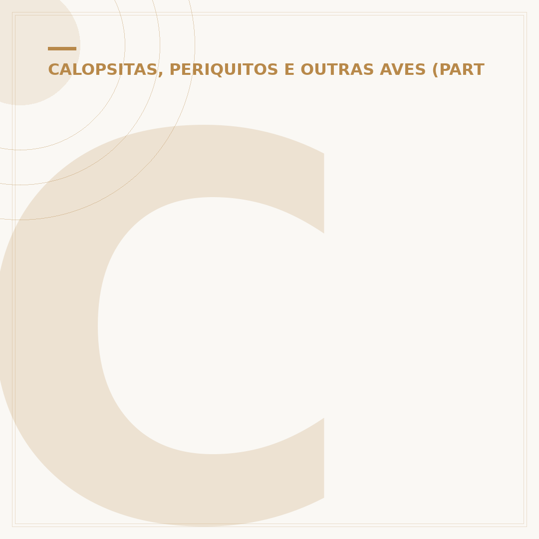 Calopsita origem: a história da ave australiana