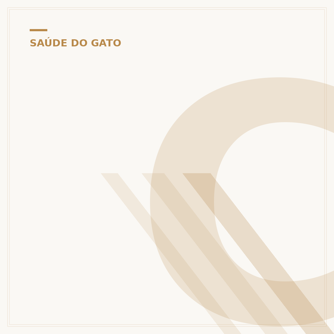 Câncer em gato: sinais, tipos e como agir