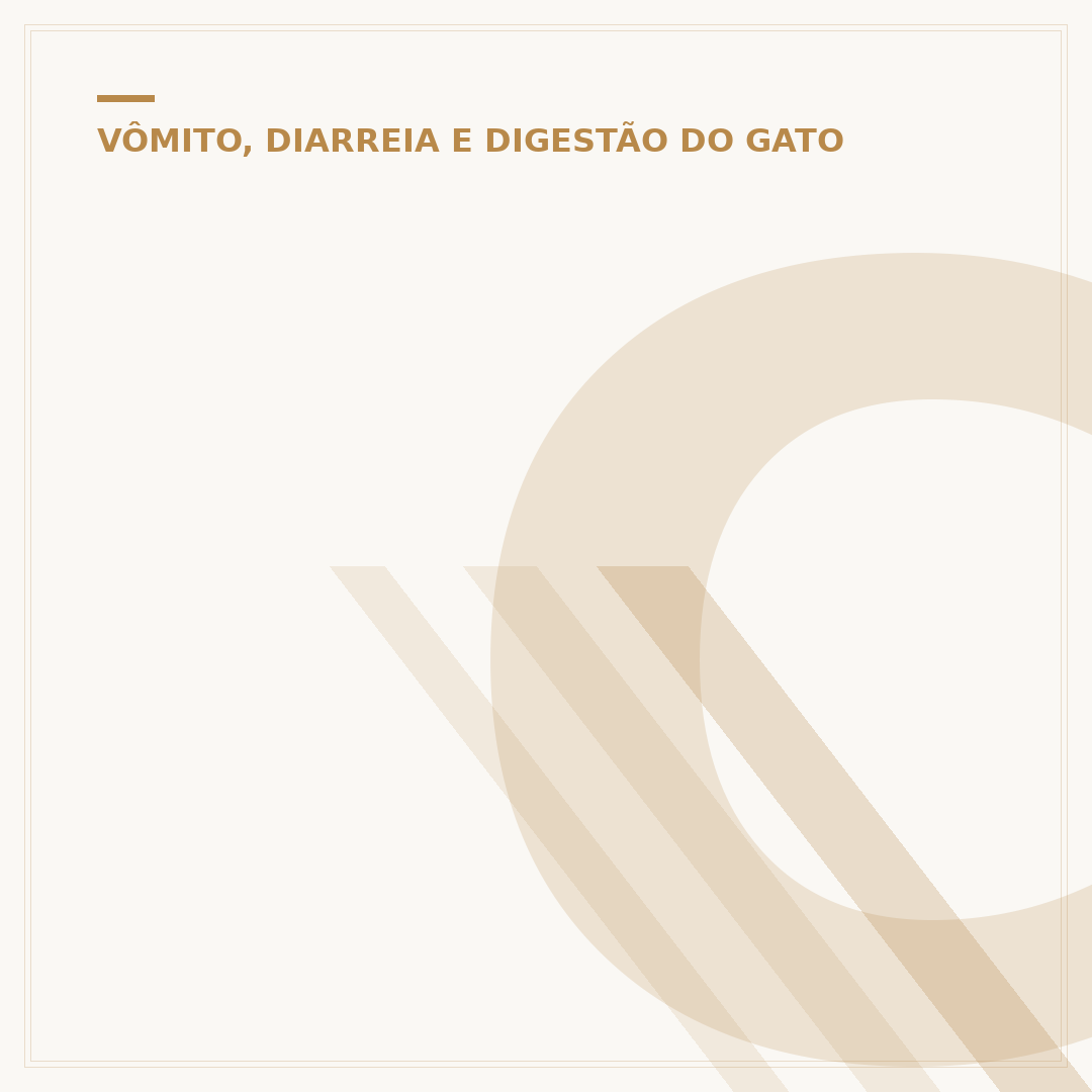 Caroço na barriga do gato: causas, riscos e o que fazer