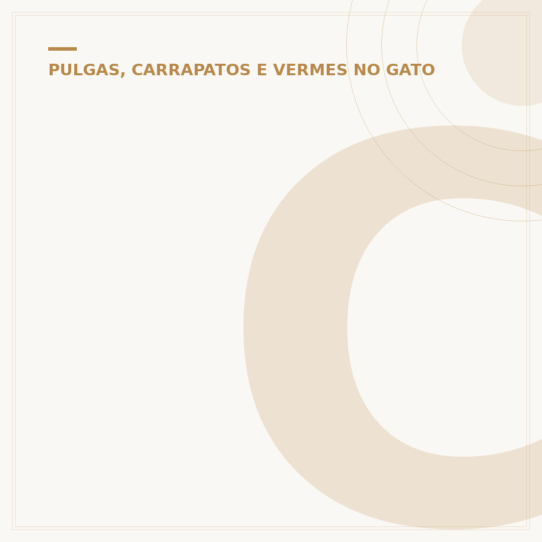 Carrapato em gato: sinais, riscos e como tratar
