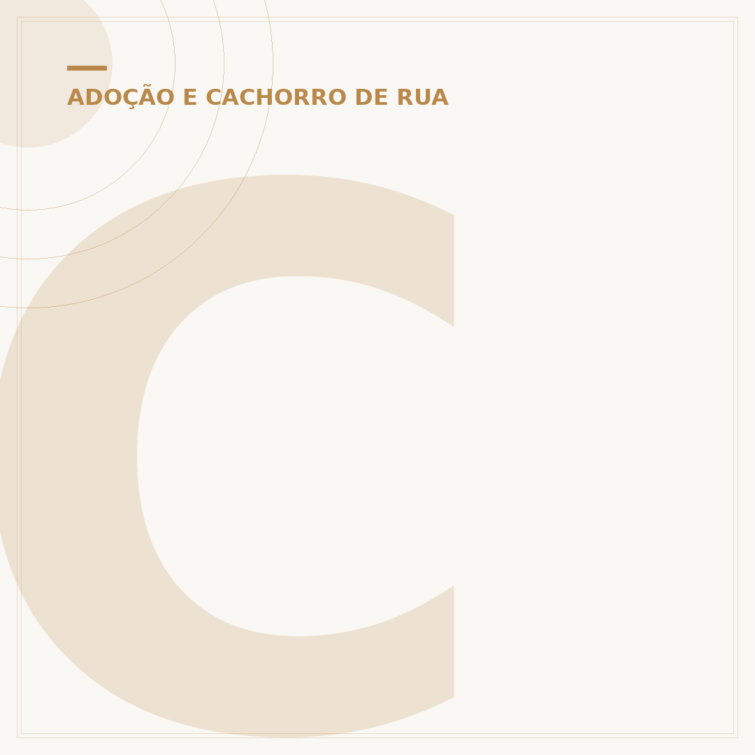 Casa de adoção de cachorro: como encontrar e adotar um amigo